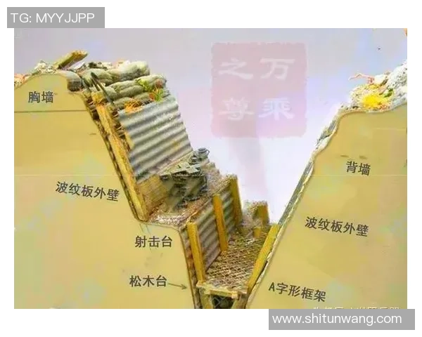 深圳排球队防反战术解析与实战应用探讨 深圳排球队防反战术解析与实战应用探讨