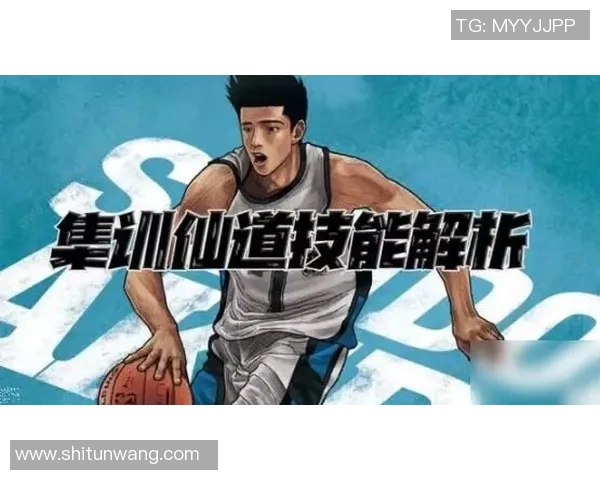 深度对话张静分享她的篮球人生与成长故事探索运动背后的坚持与梦想 深度对话张静分享她的篮球人生与成长故事探索运动背后的坚持与梦想